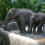 Гамбургский зоопарк Хагенбек (Hagenbecks Tierpark)